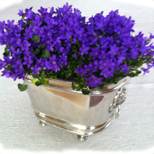 MUNKA Sweden L�ck� flowerpot wine cooler